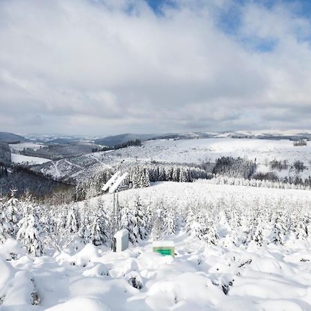 Am Finkenbusch Aan De Skipiste فيلنغن المظهر الخارجي الصورة