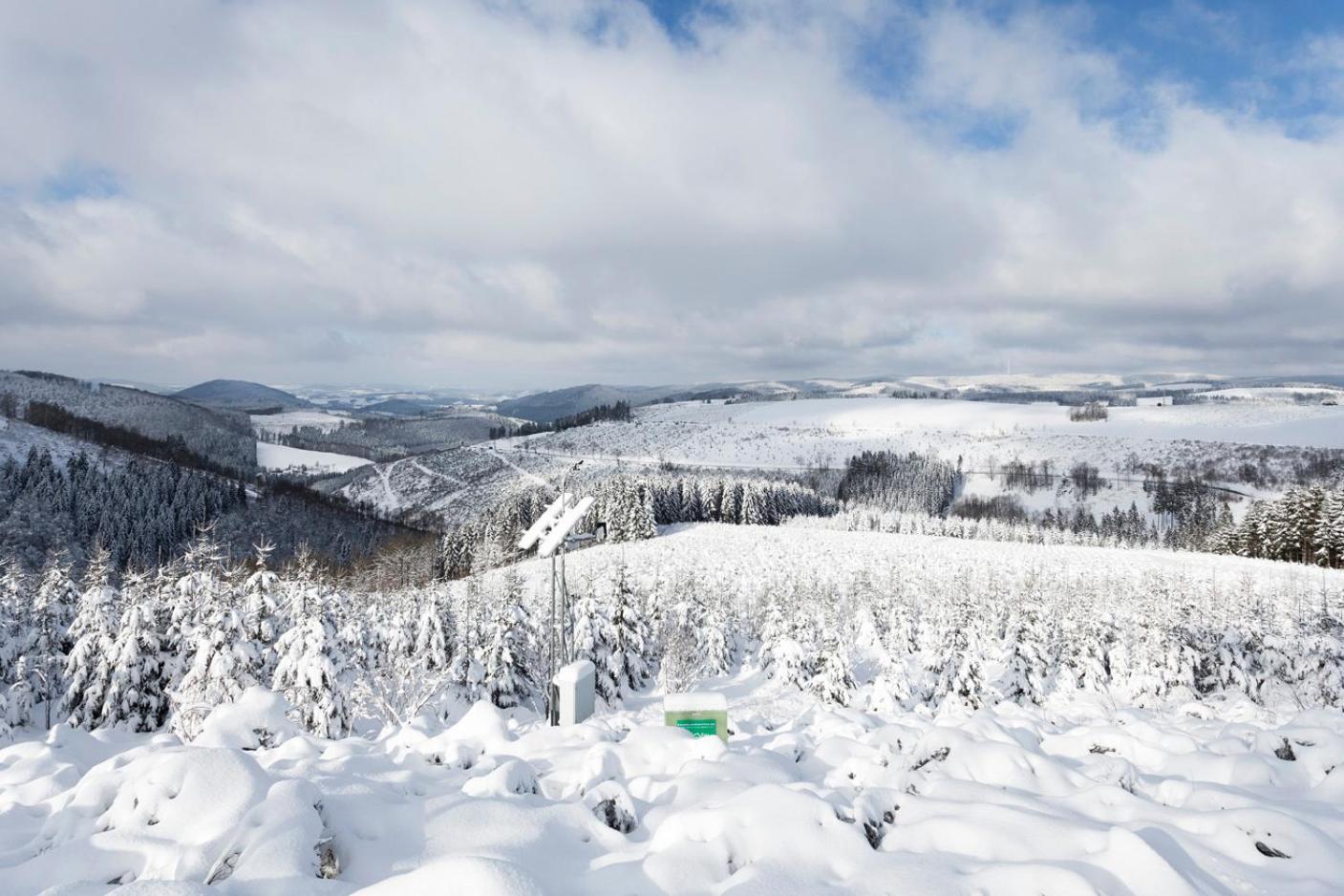 Am Finkenbusch Aan De Skipiste فيلنغن المظهر الخارجي الصورة
